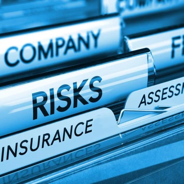 Insurance Claim Assessment